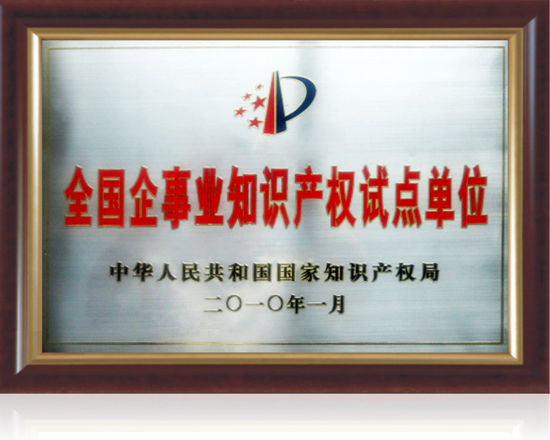 全國企事業(yè)知識產(chǎn)權(quán)試點單位.jpg