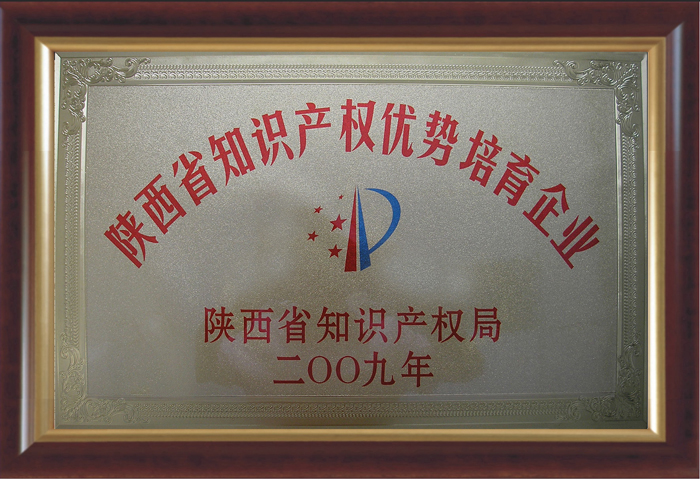 陜西知識產(chǎn)權(quán)優(yōu)勢培育企業(yè).jpg